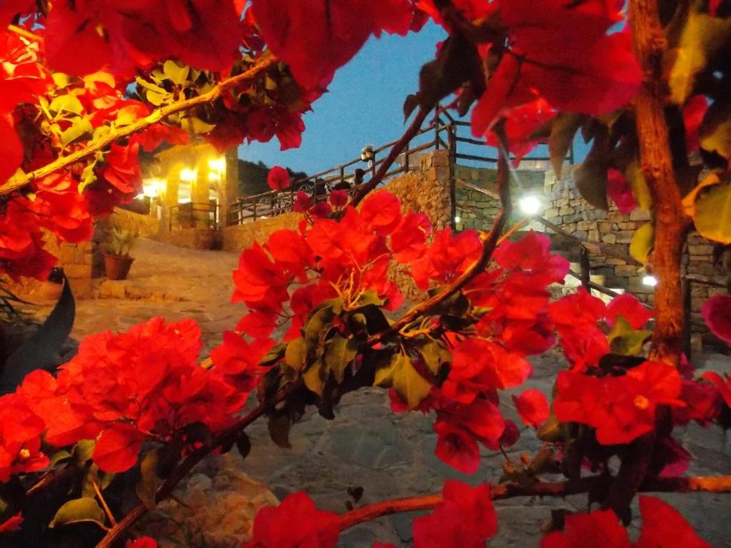 Casale Del Golfo Guest House Castellammare del Golfo Exterior foto